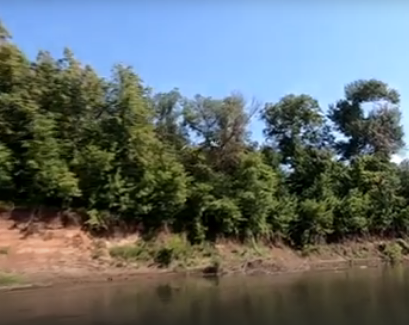 Сплав и рыбалка на реке Дёма от г. Давлеканово до г. Уфа (длина 194 км) - фото