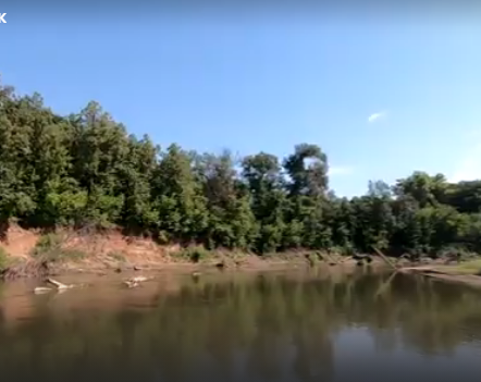 Сплав и рыбалка на реке Дёма от г. Давлеканово до г. Уфа (длина 194 км) - фото