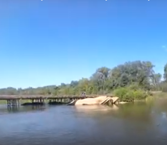 Сплав и рыбалка на р. Самара от г. Бузулук до с. Богатое (длина 118 км) - фото