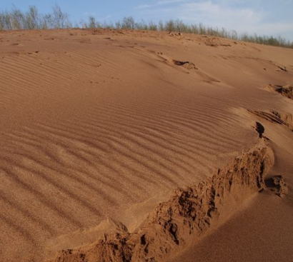 Сплав и рыбалка на р. Самара от г. Бузулук до с. Богатое (длина 118 км) - фото