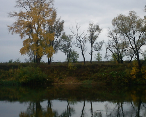 Сплав и рыбалка на р. Самара от г. Бузулук до с. Богатое (длина 118 км) - фото