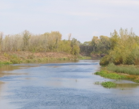 Сплав и рыбалка на р. Самара от г. Бузулук до с. Богатое (длина 118 км) - фото