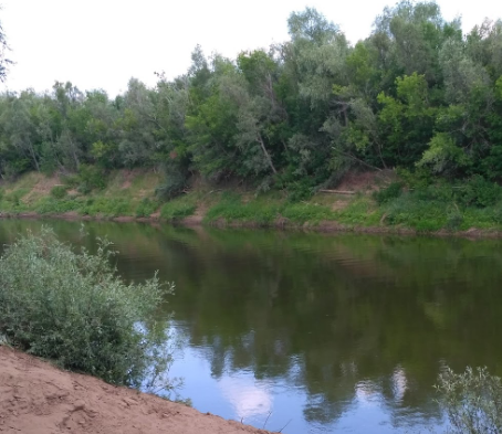Сплав и рыбалка на р. Самара от г. Бузулук до с. Богатое (длина 118 км) - фото