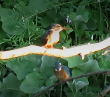 Сплав и рыбалка на р. Самара от с. Богатое до г. Самара (длина 166 км) - фото