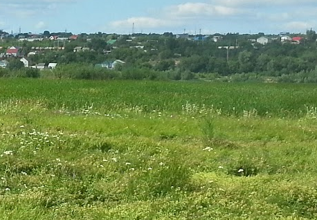 Сплав и рыбалка на р. Самара от с. Богатое до г. Самара (длина 166 км) - фото
