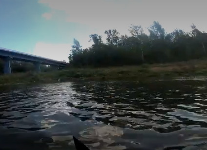 Сплав и рыбалка на р. Самара от с. Богатое до г. Самара (длина 166 км) - фото