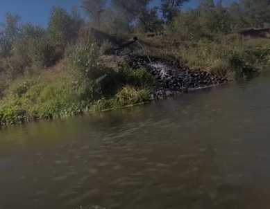 Сплав и рыбалка на р. Самара от с. Богатое до г. Самара (длина 166 км) - фото