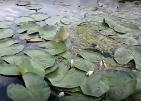 Сплав и рыбалка на реке Терёшка от с. Покровка до п. Молодежный (длина 115 км) - фото