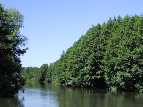 Сплав и рыбалка на реке Терёшка от с. Покровка до п. Молодежный (длина 115 км) - фото