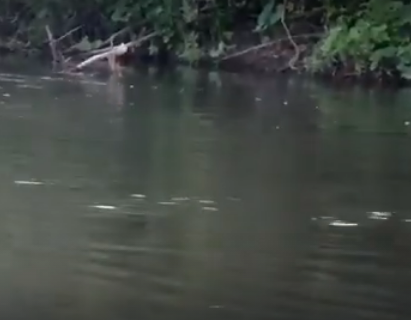 Сплав и рыбалка на реке Терёшка от с. Покровка до п. Молодежный (длина 115 км) - фото