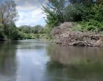 Сплав и рыбалка на реке Терёшка от с. Покровка до п. Молодежный (длина 115 км) - фото