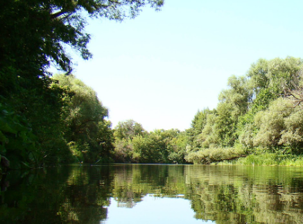 Сплав и рыбалка на реке Терёшка от с. Покровка до п. Молодежный (длина 115 км) - фото