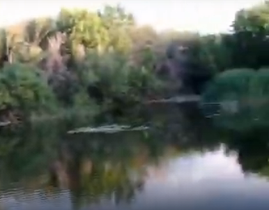 Сплав и рыбалка на реке Терёшка от с. Покровка до п. Молодежный (длина 115 км) - фото