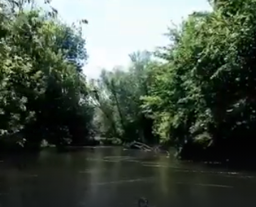 Сплав и рыбалка на реке Терёшка от с. Покровка до п. Молодежный (длина 115 км) - фото