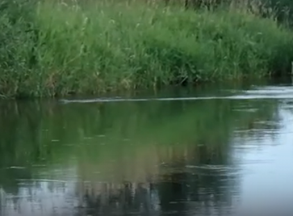 Сплав и рыбалка на реке Терёшка от с. Покровка до п. Молодежный (длина 115 км) - фото