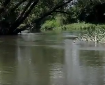 Сплав и рыбалка на реке Терёшка от с. Покровка до п. Молодежный (длина 115 км) - фото