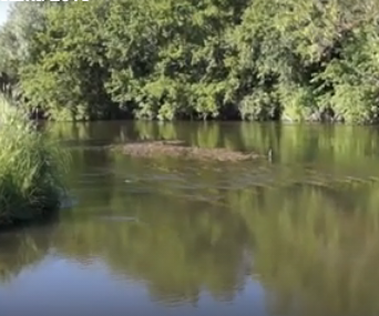 Сплав и рыбалка на реке Терёшка от с. Покровка до п. Молодежный (длина 115 км) - фото