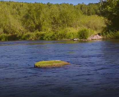 Сплав и рыбалка на реке Яя от п. Яя до г. Асино (длина 198 км) - фото