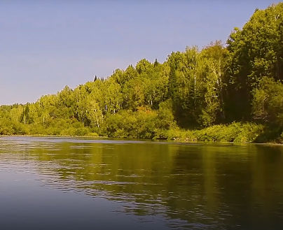 Сплав и рыбалка на реке Яя от п. Яя до г. Асино (длина 198 км) - фото