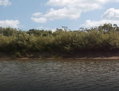 Сплав и рыбалка на реке Яя от п. Яя до г. Асино (длина 198 км) - фото