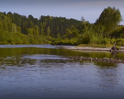 Сплав и рыбалка на реке Яя от п. Яя до г. Асино (длина 198 км) - фото