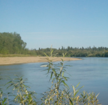 Сплав и рыбалка на реке Яя от п. Яя до г. Асино (длина 198 км) - фото