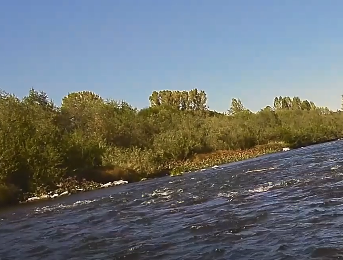 Сплав и рыбалка на реке Яя от п. Яя до г. Асино (длина 198 км) - фото