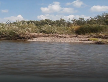 Сплав и рыбалка на реке Яя от п. Яя до г. Асино (длина 198 км) - фото