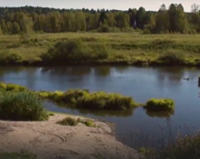 Сплав и рыбалка на реке Яя от п. Яя до г. Асино (длина 198 км) - фото