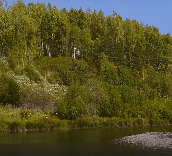 Сплав и рыбалка на реке Яя от п. Яя до г. Асино (длина 198 км) - фото