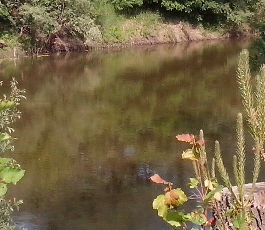 Сплав и рыбалка на р. Сок от п. Участок Сок до п. Участок Сок (длина 180 км) - фото