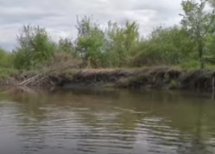 Сплав и рыбалка на р. Сок от п. Участок Сок до п. Участок Сок (длина 180 км) - фото