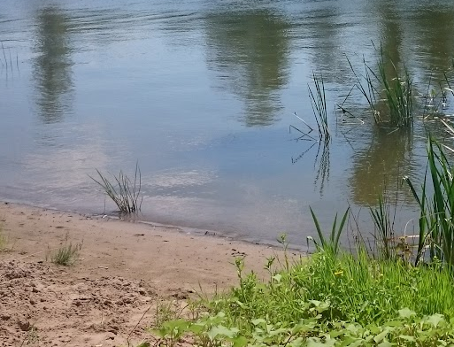 Сплав и рыбалка на р. Сок от п. Участок Сок до п. Участок Сок (длина 180 км) - фото