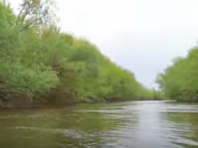 Сплав и рыбалка на р. Сок от п. Участок Сок до п. Участок Сок (длина 180 км) - фото