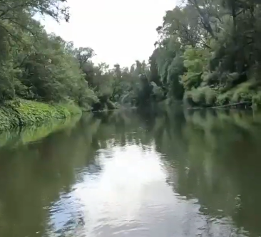 Сплав и рыбалка на р. Сок от п. Участок Сок до п. Участок Сок (длина 180 км) - фото