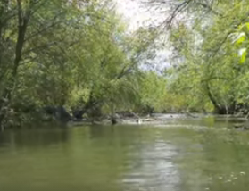 Сплав и рыбалка на р. Сок от п. Участок Сок до п. Участок Сок (длина 180 км) - фото