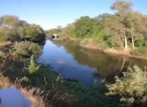 Сплав и рыбалка на р. Сок от п. Участок Сок до п. Участок Сок (длина 180 км) - фото