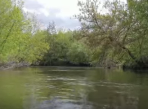 Сплав и рыбалка на р. Сок от п. Участок Сок до п. Участок Сок (длина 180 км) - фото