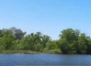 Сплав и рыбалка на р. Сок от п. Участок Сок до п. Участок Сок (длина 180 км) - фото