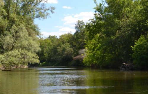 Сплав и рыбалка на р. Сок от п. Участок Сок до п. Участок Сок (длина 180 км) - фото