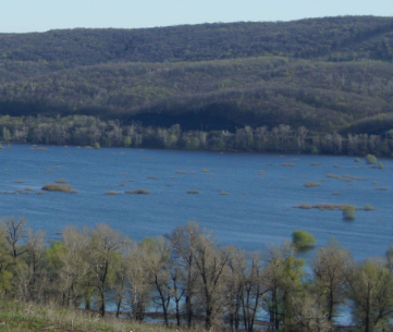 Сплав и рыбалка на р. Сок от п. Участок Сок до п. Участок Сок (длина 180 км) - фото
