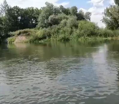 Сплав и рыбалка на р. Сок от п. Участок Сок до п. Участок Сок (длина 180 км) - фото