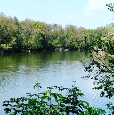 Сплав и рыбалка на р. Сок от п. Участок Сок до п. Участок Сок (длина 180 км) - фото