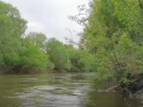 Сплав и рыбалка на р. Сок от п. Участок Сок до п. Участок Сок (длина 180 км) - фото