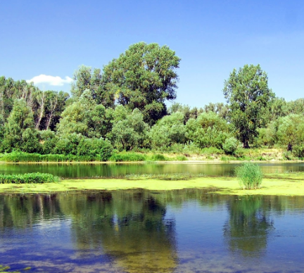 Сплав и рыбалка на р. Сок от п. Участок Сок до п. Участок Сок (длина 180 км) - фото