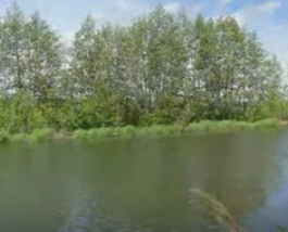 Сплав и рыбалка на р. Сок от п. Участок Сок до п. Участок Сок (длина 180 км) - фото