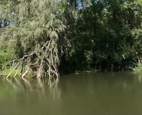 Сплав и рыбалка на р. Сок от п. Участок Сок до п. Участок Сок (длина 180 км) - фото