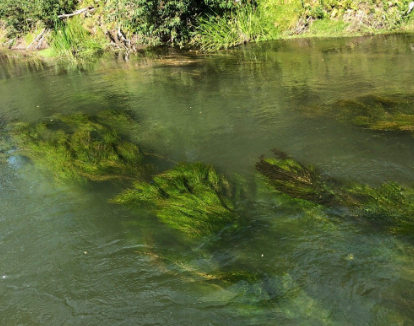 Сплав и рыбалка на р. Сок от п. Участок Сок до п. Участок Сок (длина 180 км) - фото