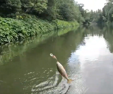 Сплав и рыбалка на р. Сок от п. Участок Сок до п. Участок Сок (длина 180 км) - фото