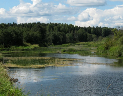 Сплав и рыбалка на р. Кубена от п. Пролетарский до г. Харовск (длина 180 км) - фото